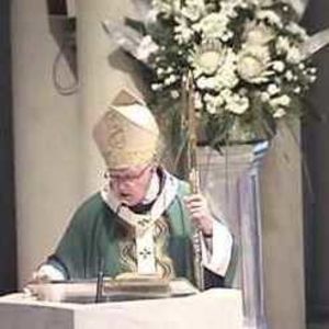 Homily for 27th Sunday of Ordinary Time