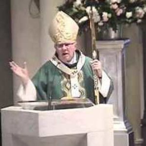 Homily for Mass Sunday July 13, 2014