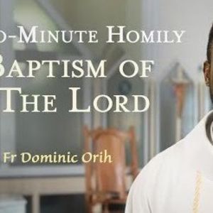 Baptism of the Lord - Two-Minute Homily: Fr Dominic Orih