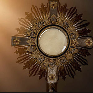 Perpetual Eucharistic Adoration coming to Brisbane's northside shared among seven churches