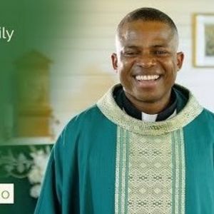 Seventh Sunday in Ordinary Time - Two-Minute Homily: Fr John Echewodo
