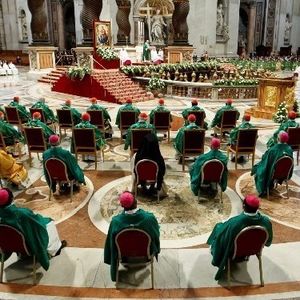 Have your voice heard for Synod of Bishops before submissions close