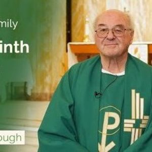 Twenty-Ninth Sunday in Ordinary Time - Two-Minute Homily: Fr Wrex Woolnough