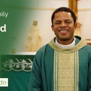 Thirty-Third Sunday in Ordinary Time - Two-Minute Homily: Fr John Echewodo