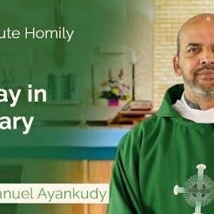 Tenth Sunday in Ordinary Time - Two-Minute Homily: Fr Emmanuel Ayankudy